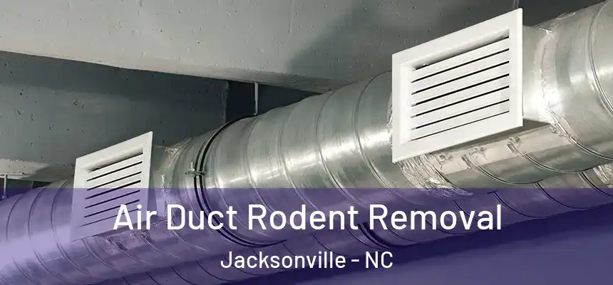  Air Duct Rodent Removal Jacksonville - NC