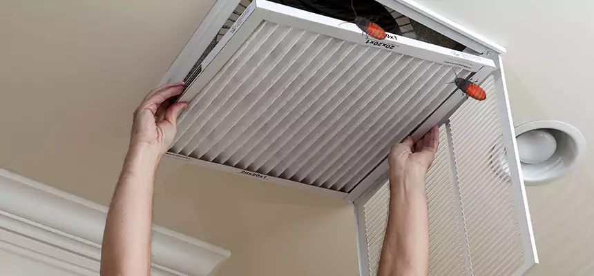 Preventive Cockroach-Proofing for Ducts in Jacksonville