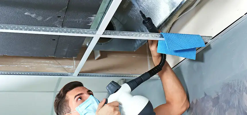 Our Air Duct Rodent Removal Services in Jacksonville, NC