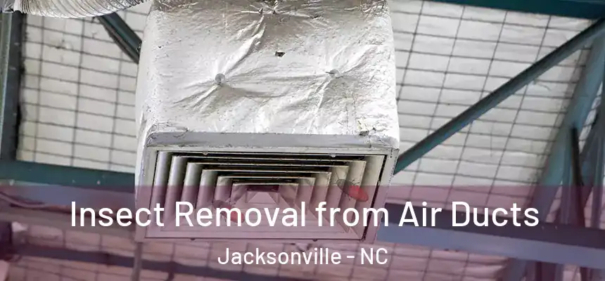  Insect Removal from Air Ducts Jacksonville - NC