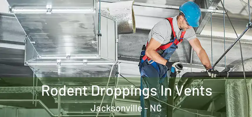 Rodent Droppings In Vents Jacksonville - NC