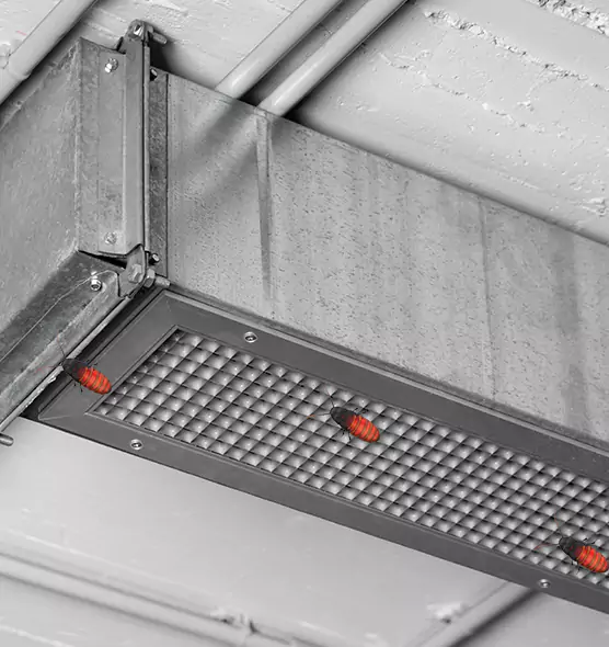 About Air Duct Cockroach Removal in Jacksonville, NC