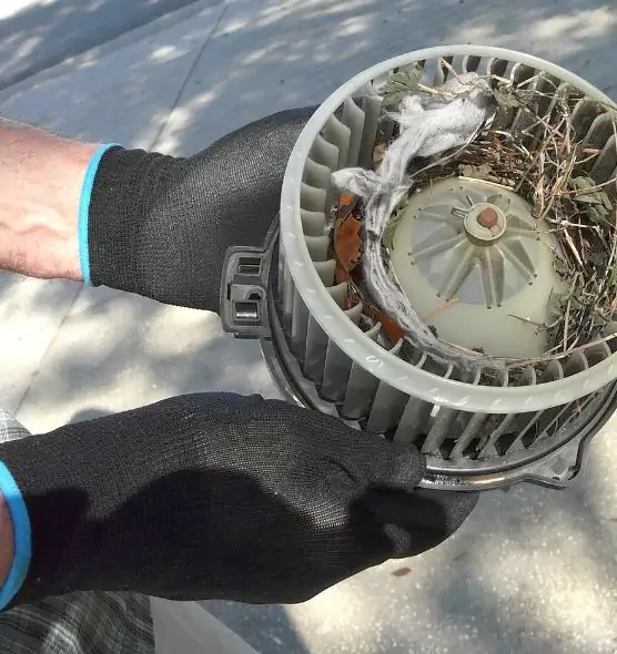 About Air Duct Rat Removal in Jacksonville, NC