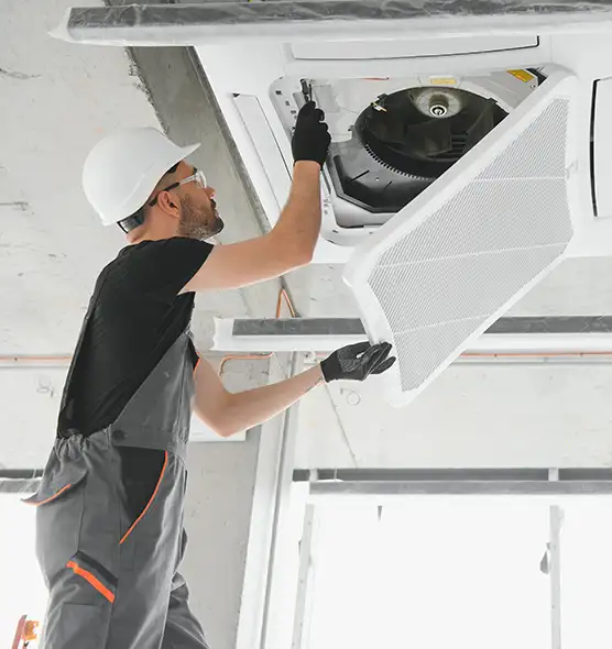 About Air Duct Rodent Removal in Jacksonville, NC