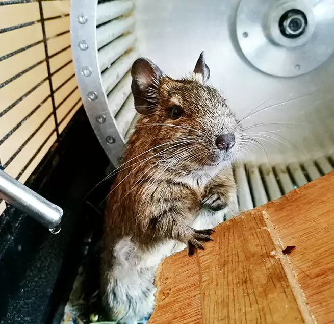 Why Homeowners & Businesses Trust Us Jacksonville, NC