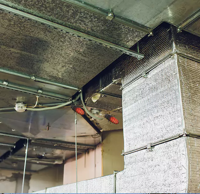 Why Homeowners & Businesses Trust Us Jacksonville, NC?