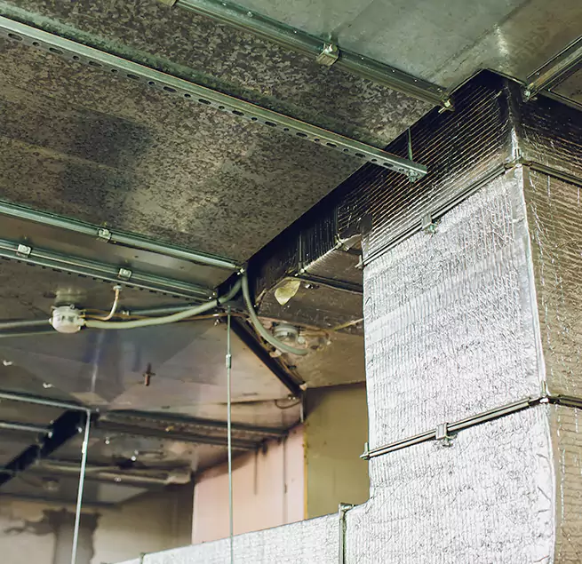 Why Homeowners & Businesses Trust Us in Jacksonville, NC?